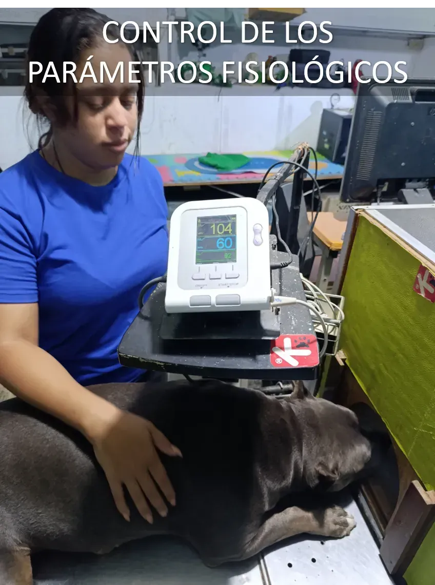 Curas, tratamientos y emergencias